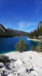 Scenic view of lake by trees against blue sky