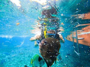 Diving to see fish, like in the aquarium in raja ampat, west papua