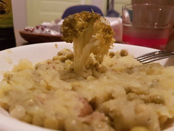 Close-up of meal served in plate