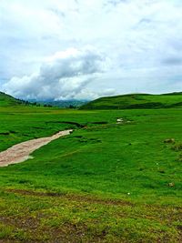 Scenic view of grassy field against sky