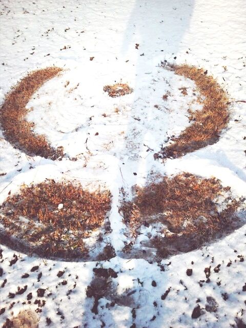 high angle view, close-up, heart shape, day, no people, directly above, pattern, water, indoors, white color, circle, shape, creativity, art, wood - material, ideas, textured, love, art and craft