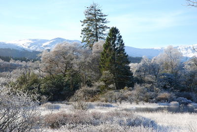 Scenic view of mountains against sky during winter