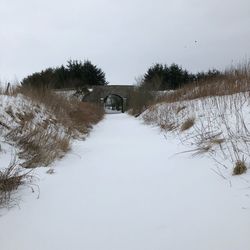 Snow covered trees against sky