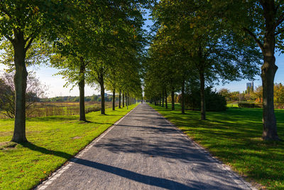 Footpath amidst trees on landscape