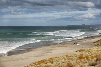 Scenic view of beach against sky