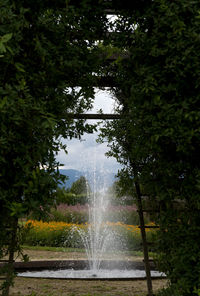 Water splashing in fountain against trees in forest