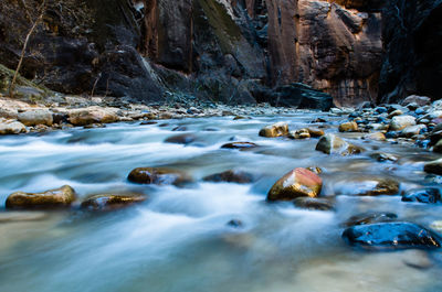 Surface level of stream flowing in forest