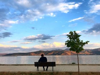 Rear view of man sitting on bench against sea