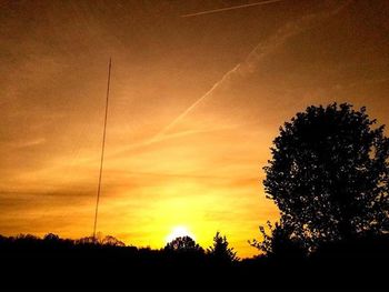 Silhouette of trees at sunset