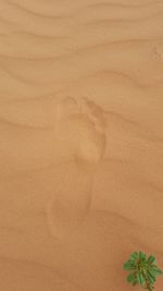 Full frame shot of white background