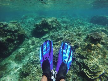 Low section of person wearing diving flippers underwater