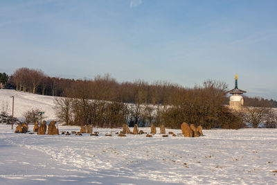 Trees on field by building against sky during winter