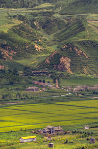 Scenic view of agricultural field