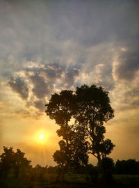 Silhouette tree against sky during sunset