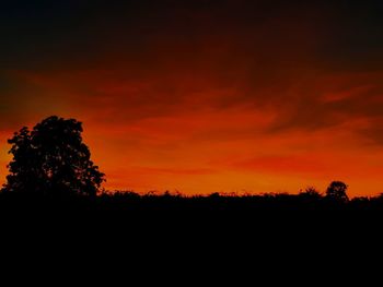 Silhouette trees against sky during sunset