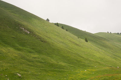 Scenic view of grassy landscape against sky