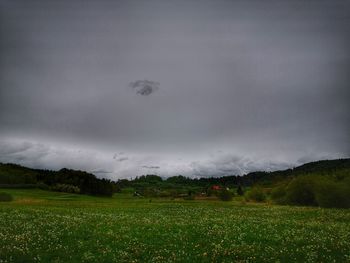Scenic view of field against sky