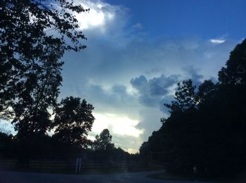 Scenic view of trees against sky