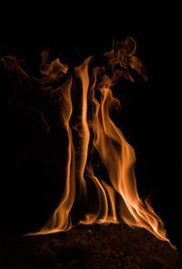 Close-up of bonfire against black background