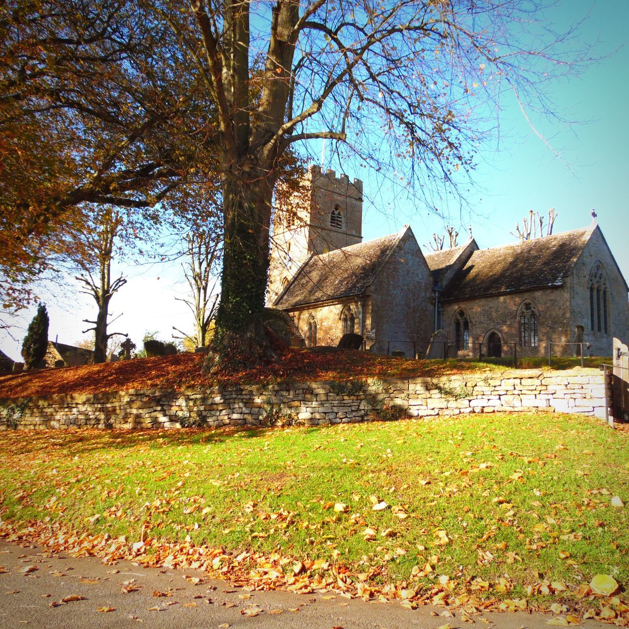 tree, architecture, built structure, building exterior, day, grass, cemetery, field, no people, outdoors, bare tree, autumn, religion, nature, clear sky, sky, branch, gravestone