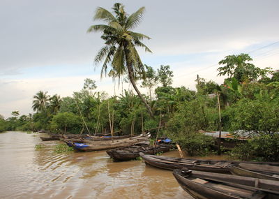 Boats moored on river by trees against sky