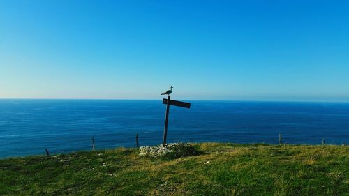 Scenic view of sea against clear blue sky