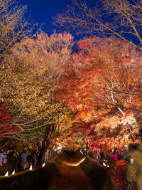 Crowd at night during autumn