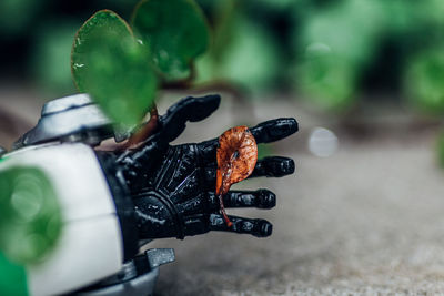 Close-up of dead leaf in the hand of  robot