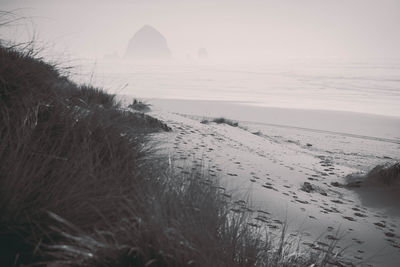 Scenic view of beach during winter