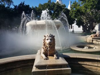 View of dog by fountain