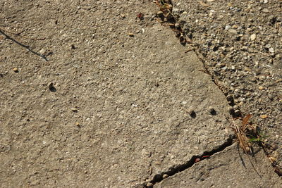 Full frame shot of white wall