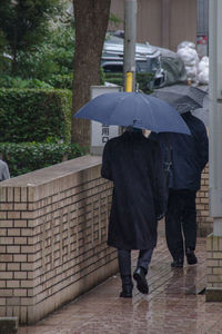 umbrella