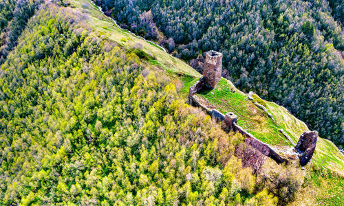 High angle view of trees on land