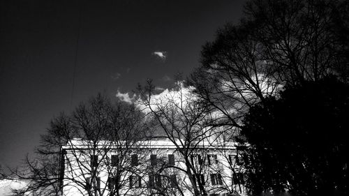 Low angle view of trees against sky
