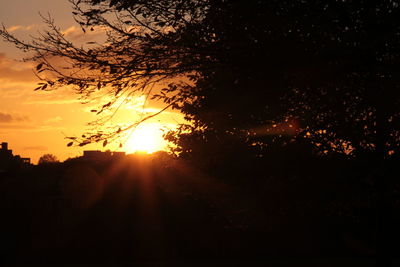 Silhouette trees against sky during sunset