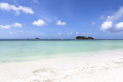 sea
