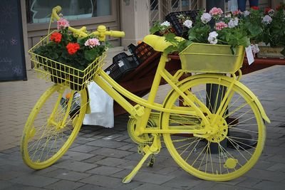 Potted plants in basket on street