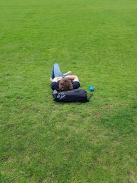 People relaxing on field