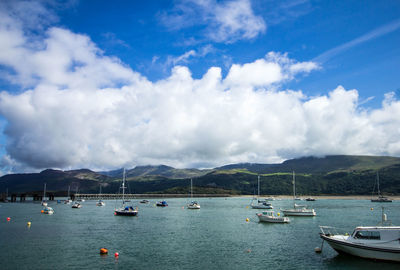 Sailboats moored on sea against sky