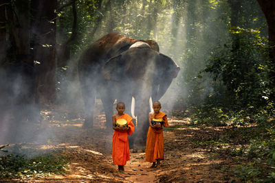 Rear view of people standing in forest