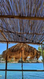 Low angle view of palm trees on beach against sky