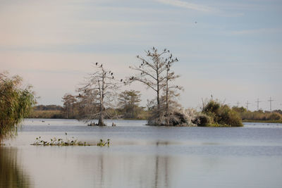 Scenic view of lake against sky