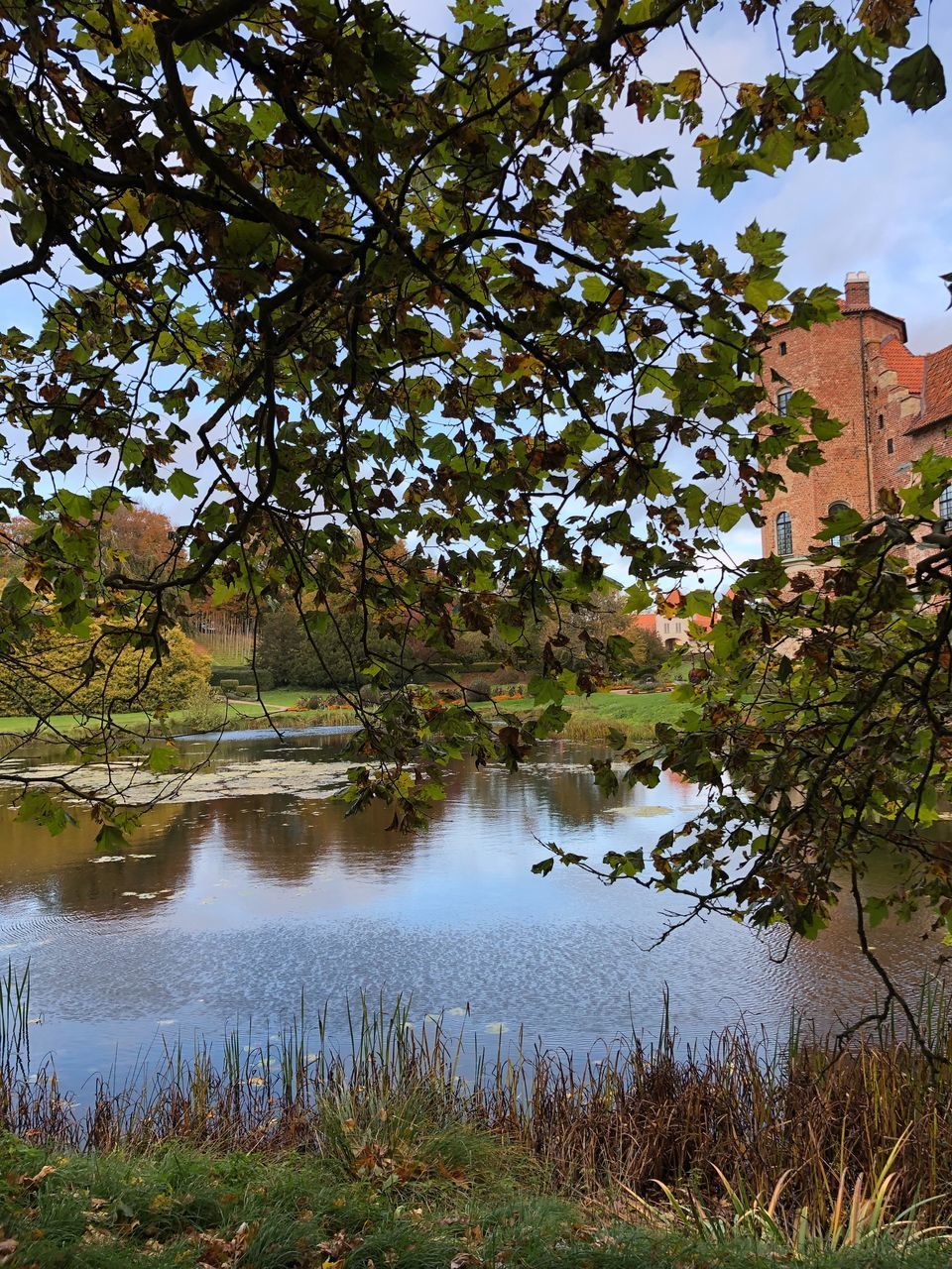 REFLECTION OF TREES IN LAKE AGAINST SKY