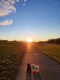 View of dog on road during sunset