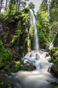 Scenic view of waterfall in forest