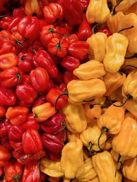 Full frame shot of bell peppers for sale at market