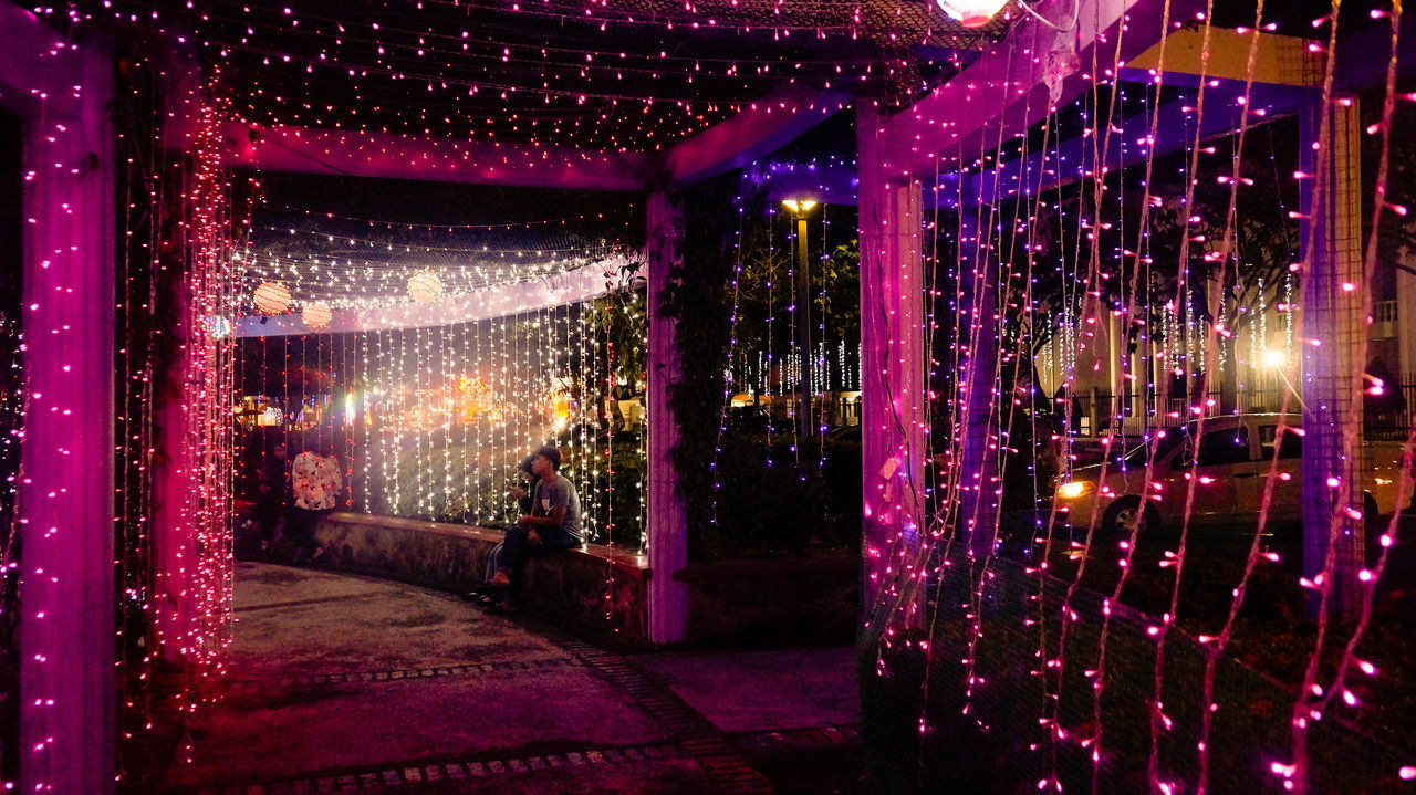 ILLUMINATED CHRISTMAS LIGHTS AT NIGHT IN PARK