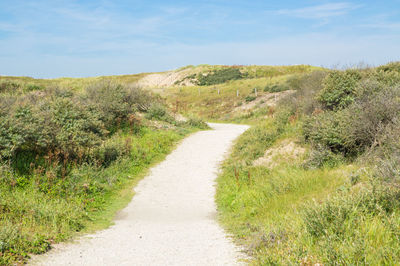 Path through the north-sea dunes nature reserve in the morning light.