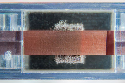 Close-up of frozen glass window