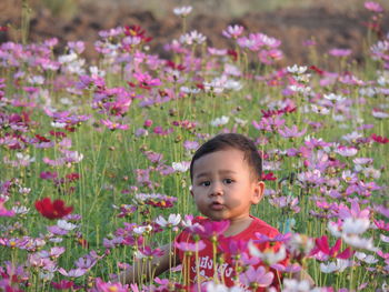 Boy by pink flowering plants